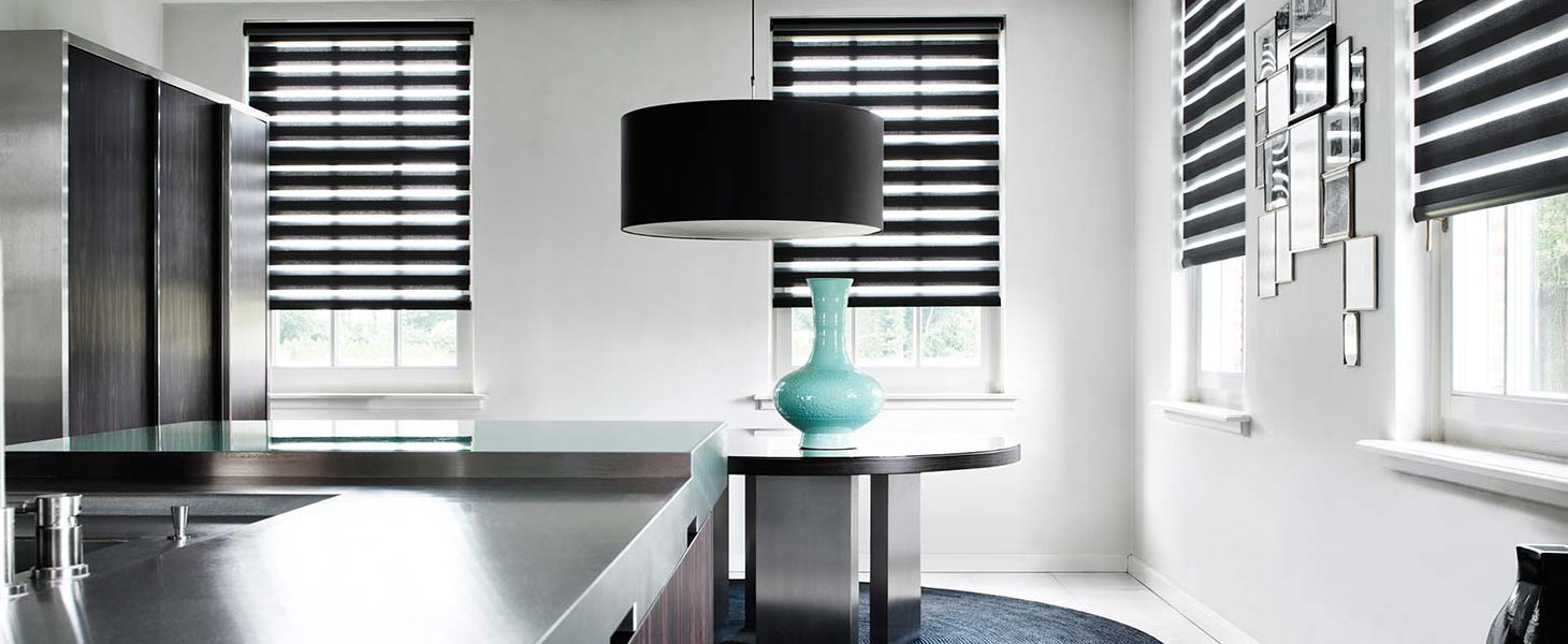 Рулонные шторы Combo Duo - Зебра