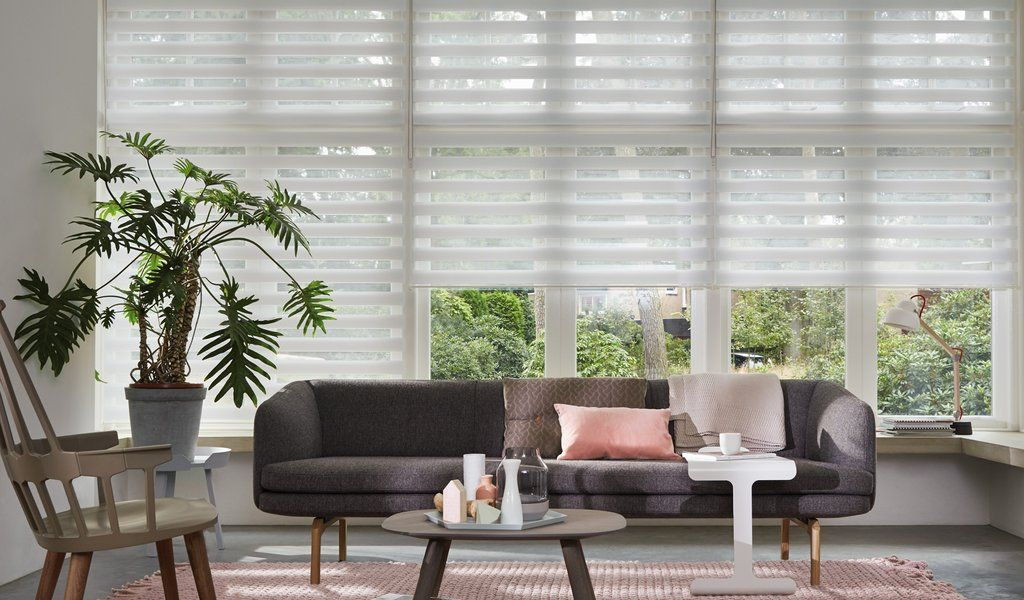 Рулонные шторы Combo Duo - Зебра