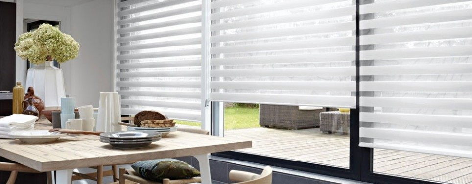 Рулонные шторы Combo Duo - Зебра