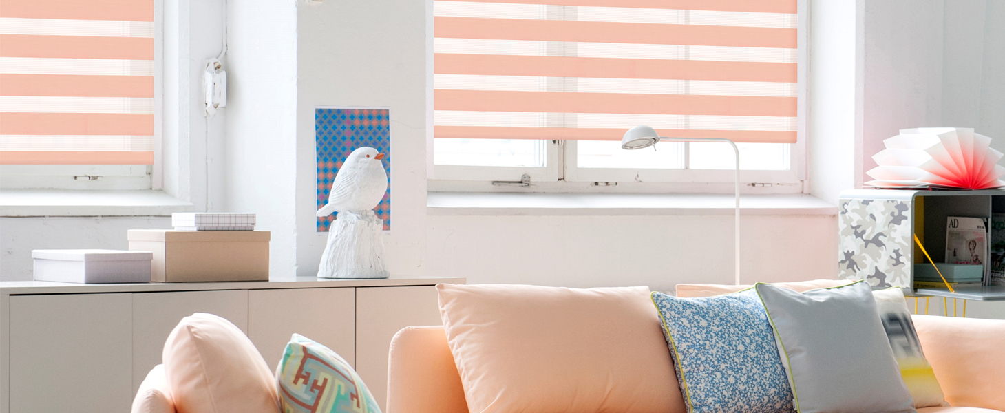 Рулонные шторы Combo Duo - Зебра