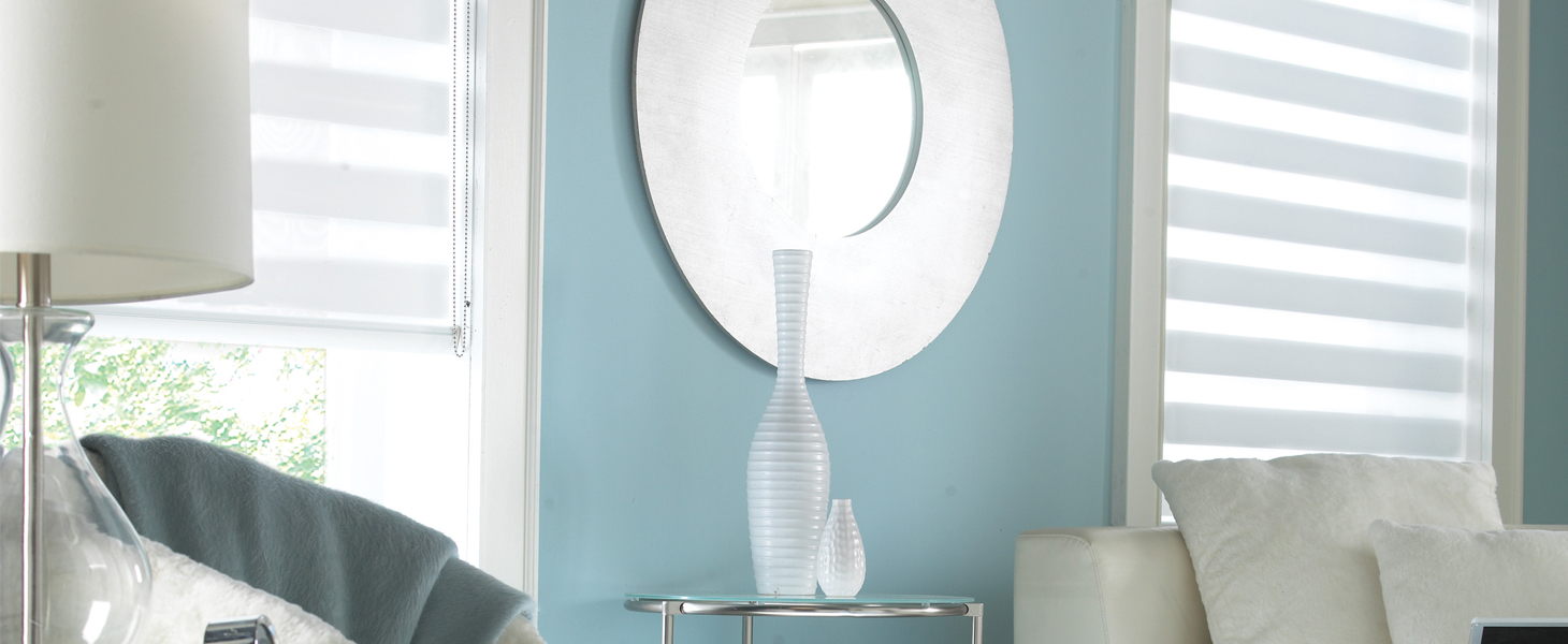 Рулонные шторы Combo Duo - Зебра