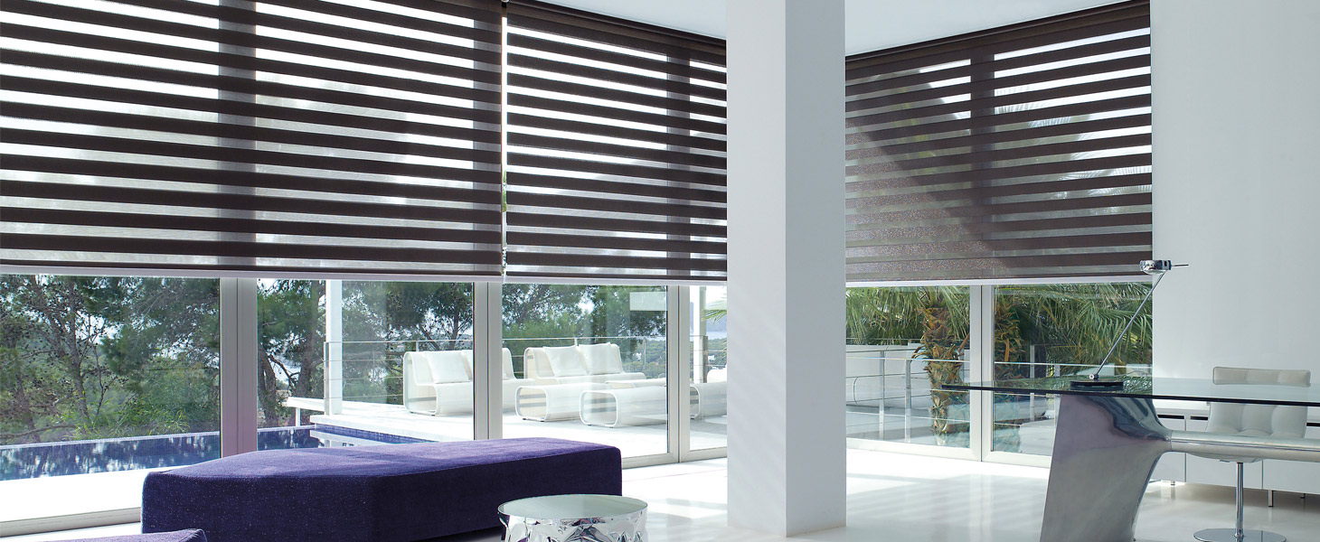 Рулонные шторы Combo Duo - Зебра