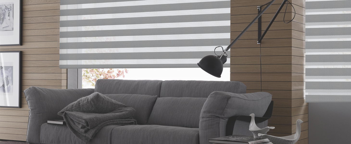 Рулонные шторы Combo Duo - Зебра