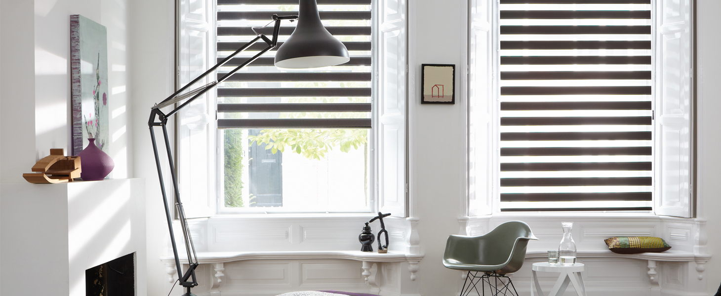 Рулонные шторы Combo Duo - Зебра