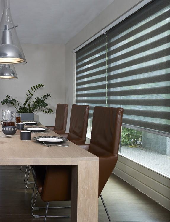 Рулонные шторы Combo Duo - Зебра