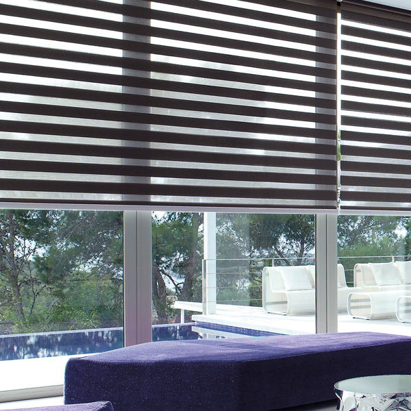 Рулонные шторы Combo Duo - Зебра